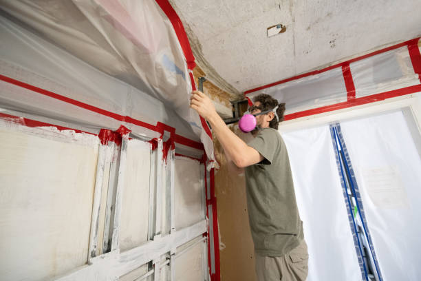 Best Comprehensive Air Testing for Mold Contaminants  in Tyler, MN