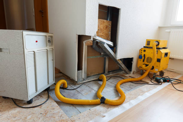 Best Industrial Mold Remediation  in Tyler, MN